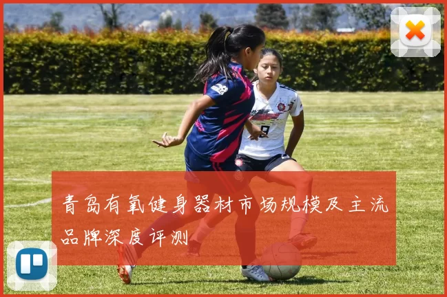 青岛有氧健身器材市场规模及主流品牌深度评测